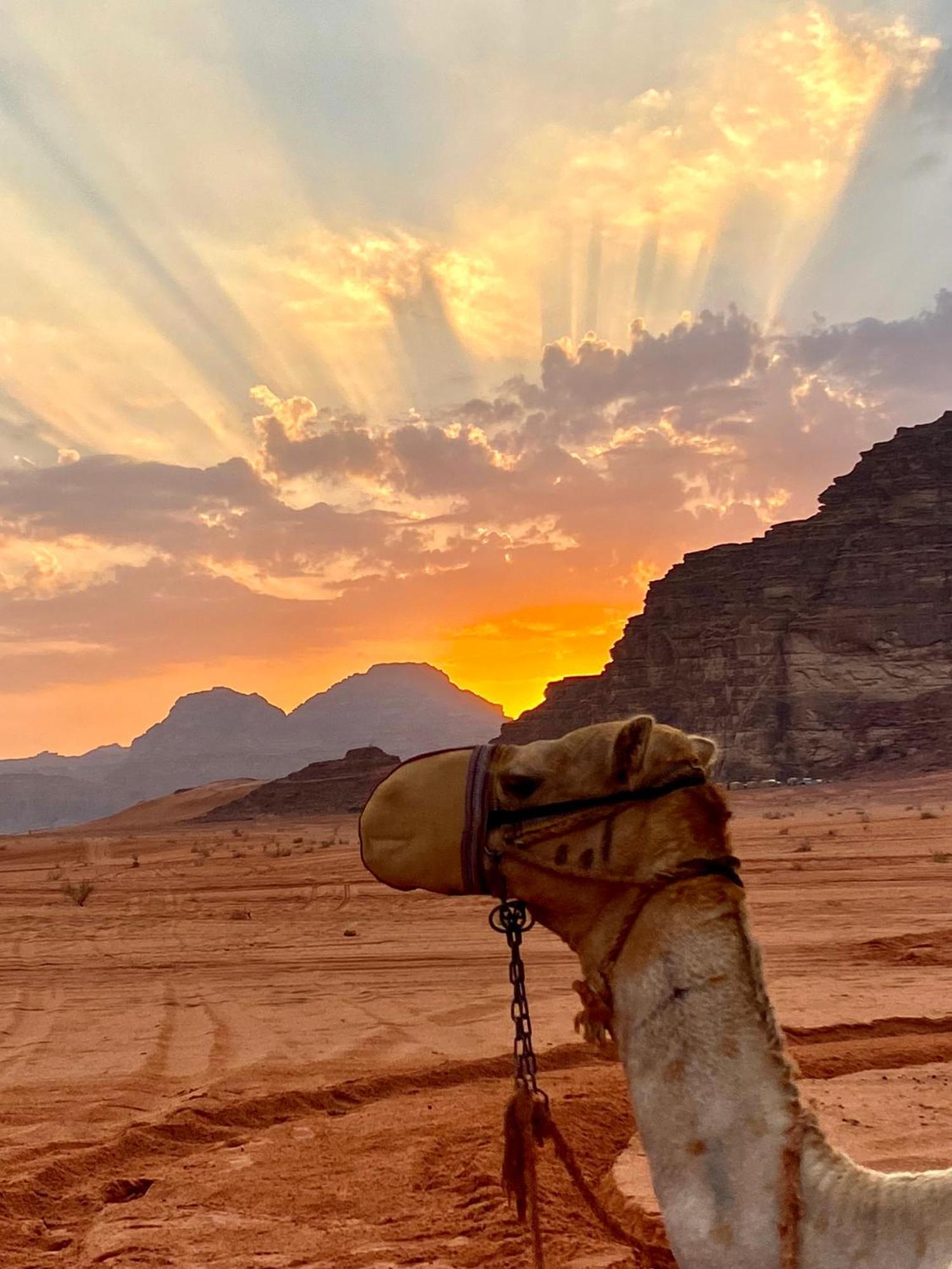 Rum Relaxation Luxury Camp Wadi Rum Extérieur photo